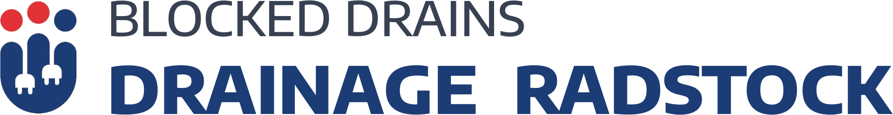 website logo